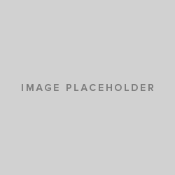 1 Image Caption